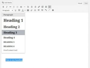 Paragraph menu with the heads open and the heading size and heading title highlighted.